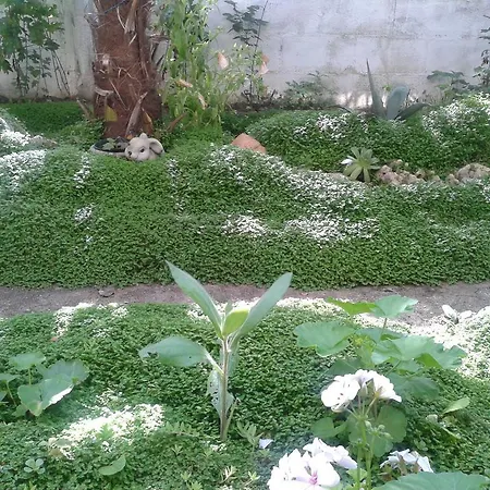 In Guest house Primorsko